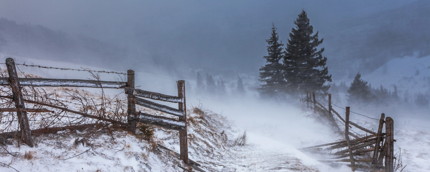 Winter Storm and Fence